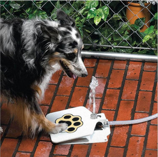 Fontaine d'eau autonome pour chats et chiens - Nos Utilities